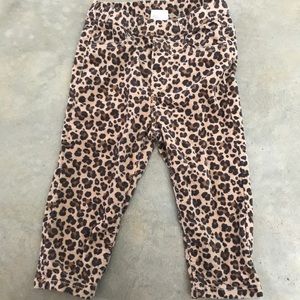 Leopard Velvet Pants